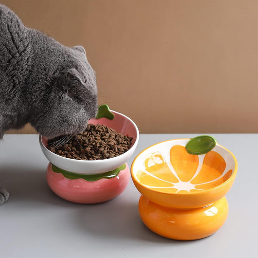 Comedero Elevado de Cerámica para Gatos - Diseño Ergonómico Anti-Vómito Rosa - Image 11