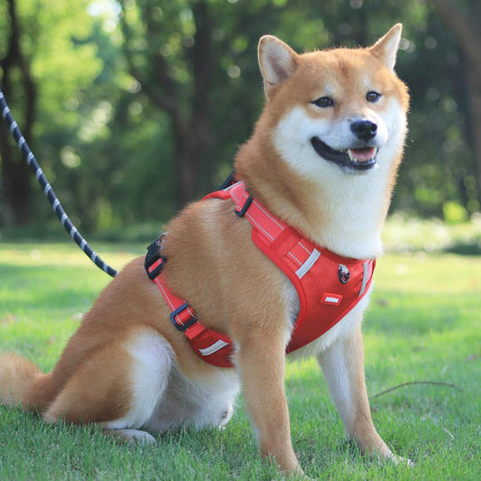 Orange no-pull dog harness with reflective strips, adjustable buckles, and a top handle for training and outdoor use.