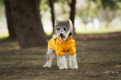 Impermeable para Perros Pequeños y Medianos con Arnés Integrado - Image 19