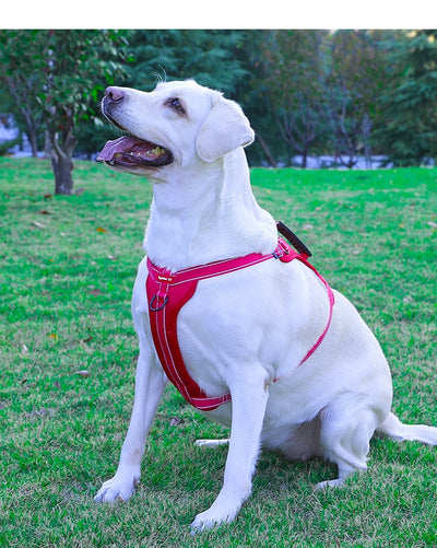 Arnés de Pecho con Cuerda de Tracción para Perros Pequeños, Medianos y Grandes - Image 20