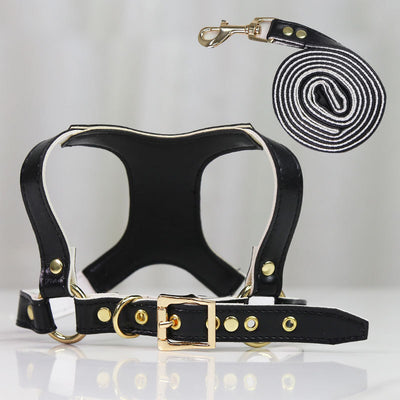 Arnés de Pecho para Perros y Gatos con Correa Ajustable - Image 17