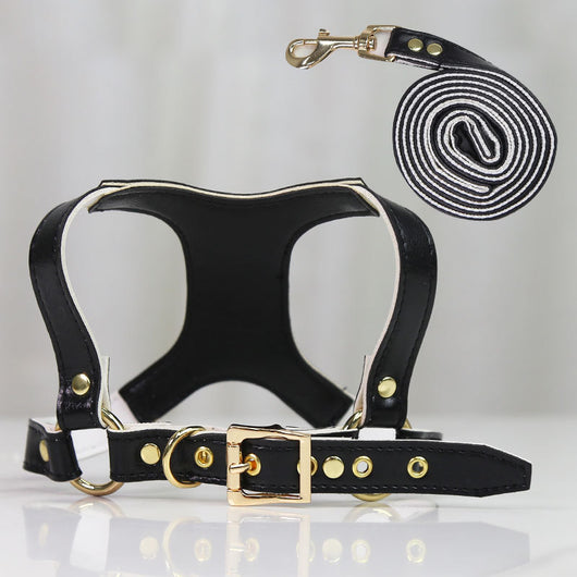 Arnés de Pecho para Perros y Gatos con Correa Ajustable - Image 17