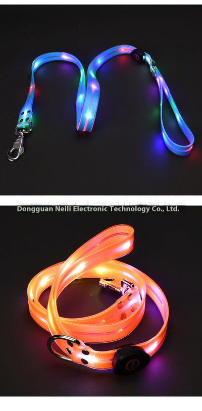 Correa LED Luminosa para Mascotas - Collar con Luz Emisora - Image 16