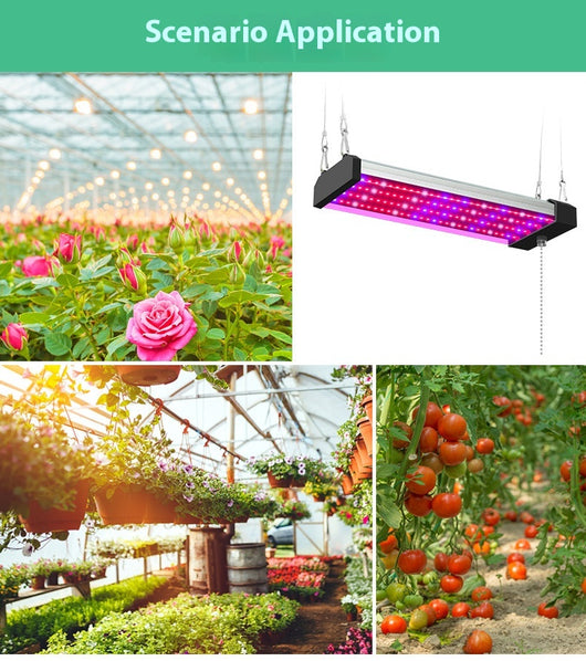 Barra LED de Espectro Completo para Plantas Suculentas - Image 22