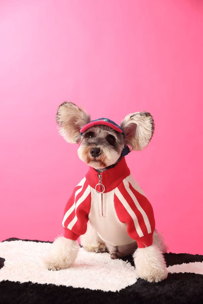 Suéter Deportivo para Perros - Cardigan Cómodo para Mascotas - Image 13