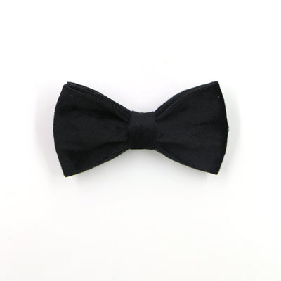 Collar de Terciopelo Negro con Hebilla Dorada y Kit Completo para Paseos - Image 4
