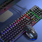 Teclado negro con luz arcoíris + mouse