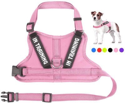Arnés Personalizado para Mascotas - Image 6