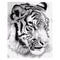 Kit de Pintura Digital Tigre - Cuadro DIY para Decoración del Hogar