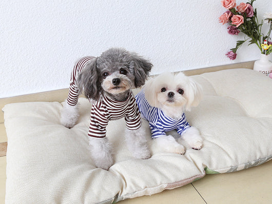 Mallas Deportivas para Mascotas con Rayas de Ocho Colores - Image 22