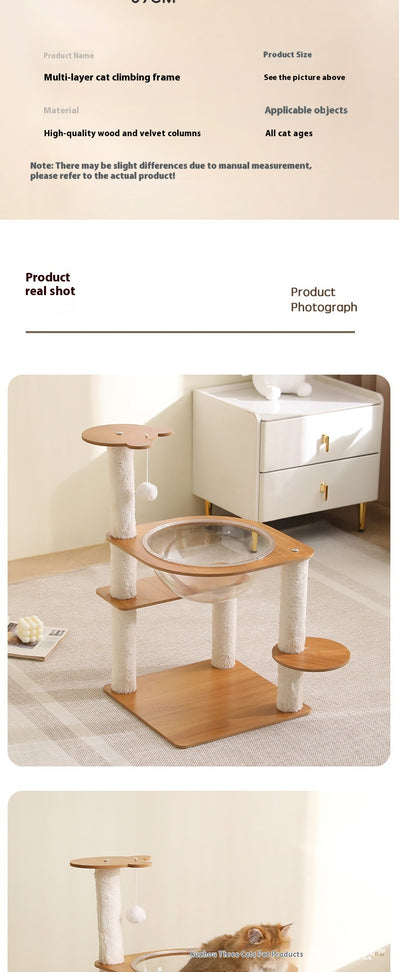 Multi-layer cat tree with a plush top bed, clear space capsule, wooden cat house, sisal scratching posts, and climbing stairs. - Image 13