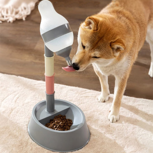 Dispensador Automático de Agua para Mascotas con Altura Ajustable - Image 6