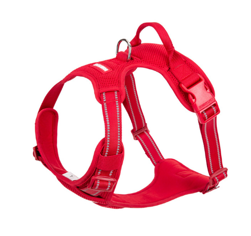 Arnés Pectoral Teddy's Fund - Chaleco de Sujeción