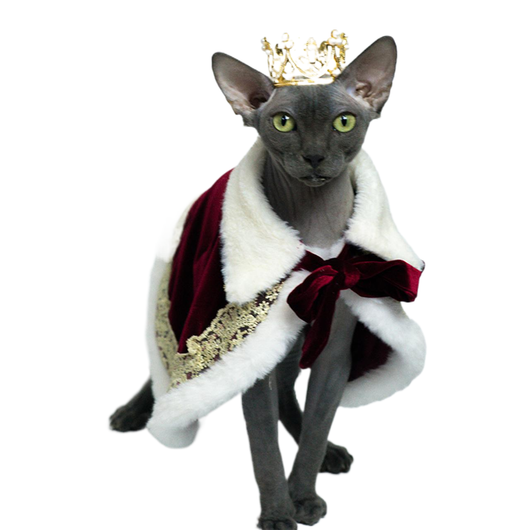 Capa de Disfraz para Mascotas - Diseño Divertido para Perros y Gatos - Image 6