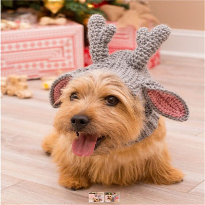 Gorro Trenzado para Mascotas - Diseño Adorable Primavera Otoño - Image 9