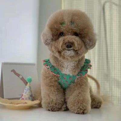 Falda Protectora para Perros Pequeños, Medianos y Grandes - Image 6
