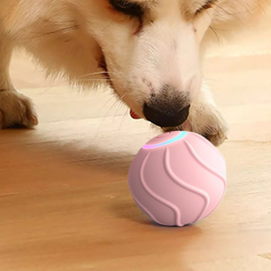 Pelota Interactiva Automática con Salto para Gatos - Juguete Eléctrico de Entrenamiento - Image 6