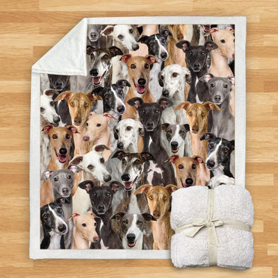 Manta Franela Estampada para Perros - Image 46