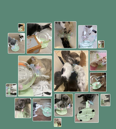 Juguete Interactivo para Gatos - Entretenimiento Automático - Image 2