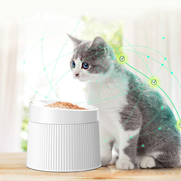 Comedero Doble Geométrico para Gatos