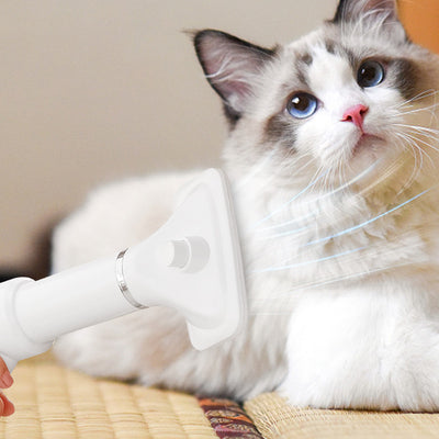 Secador Peine para Mascotas - Gatos y Perros - Image 2