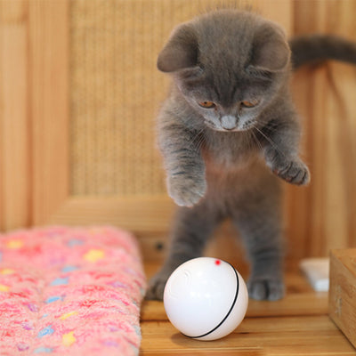 Pink plastic interactive pet toy ball with a power button and 'CLOSE'/'OPEN' markings for cats. - Image 7