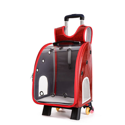 Mochila Transportadora Transparente Plegable para Perros Pequeños con Bolsillo Pañales - Image 6