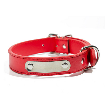 Collar Personalizado para Mascota con Placa de Identificación Grabada - Image 14