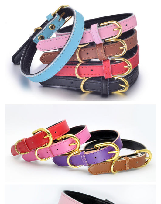Collar para Mascotas de Cuero Genuino - Image 12