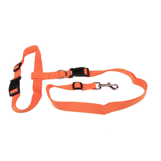 Cuerda de Tracción Especial para Correr con Perro - Image 11