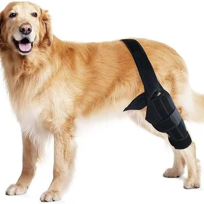 Black pet leg brace for dog injury assistance and rehabilitation, featuring adjustable straps and a supportive design. - Image 4