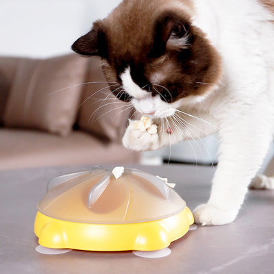 Plato Interactivo para Gatos con Almacenamiento de Snacks y Entretenimiento - Image 3