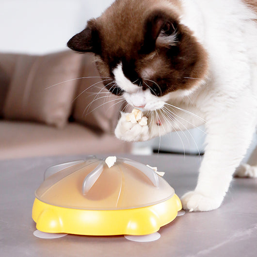 Plato Interactivo para Gatos con Almacenamiento de Snacks y Entretenimiento - Image 3