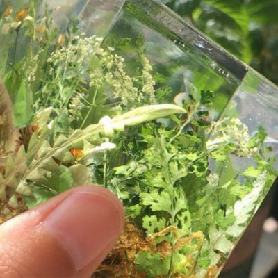 Cubo de Plantas Secas con Flores Deshidratadas y Musgo Natural - Image 2