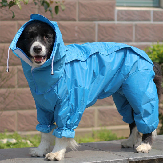 Impermeable Integral para Perros - Image 14
