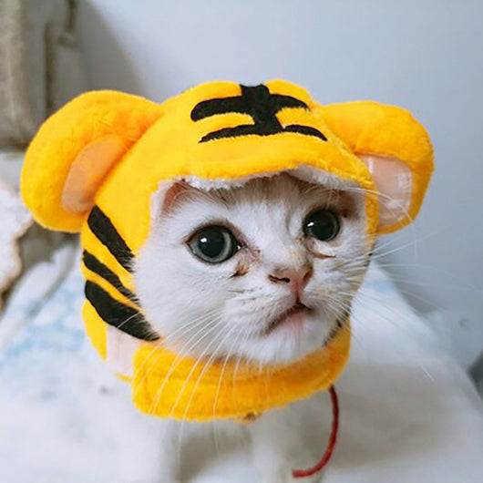 Gorro Rizado Divertido para Mascotas - Disfraz Cómico para Gatos y Perros - Image 12