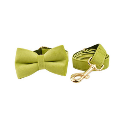 Collar para Perro de Terciopelo Suave - Image 3