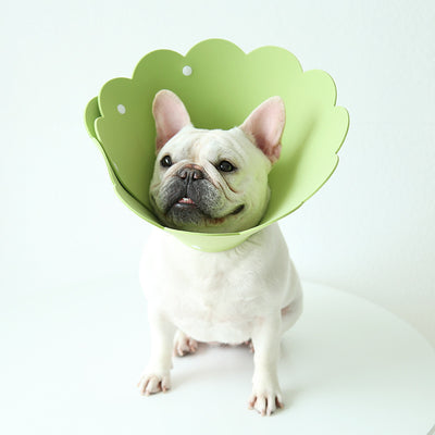 Collar Protector Antilamido con Cubierta Girasol para Mascotas - Image 7