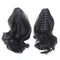 Cola de Caballo con Clip - Extensión Instantánea