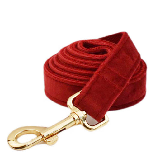 Collar de Tracción Resistente para Perros - Image 3