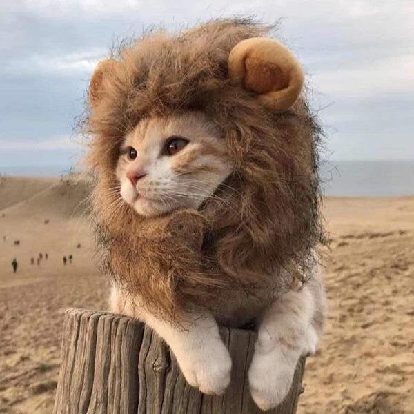 Tocado de León para Mascotas - Disfraz Felino Premium