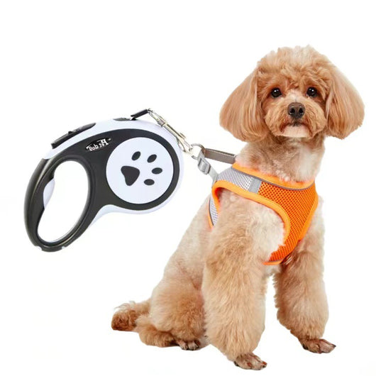 Small light brown poodle wearing an orange mesh dog vest harness with reflective trim and a retractable leash. - Image 21