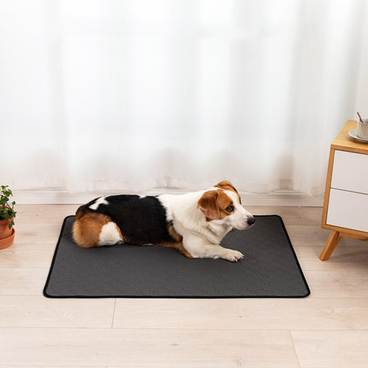 Pañales Absorbentes Reutilizables para Mascotas con Entrenamiento