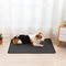 Pañales Absorbentes Reutilizables para Mascotas con Entrenamiento