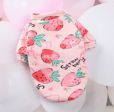 Ropa de Abrigo para Perros Pequeños - Colección Otoño Invierno - Image 20