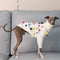 Suéter Navideño para Galgos Italianos y Whippets