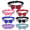 Collar y Correa para Perro y Gato de Cuero con Brillantes