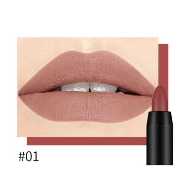 Labial Mate de Larga Duración DNM - Image 30