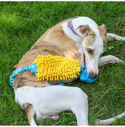 Juguete Interactivo de Cuerda Resistente para Perros - Tirador Masticable - Image 13