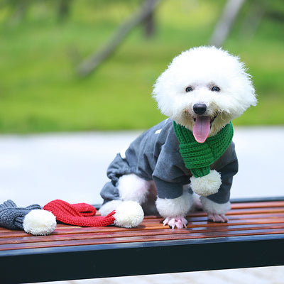 Bufanda de Lana para Mascotas - Diseño Gato y Perro - Image 12